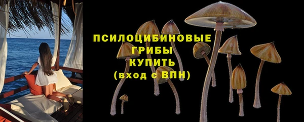 МДПВ Горнозаводск