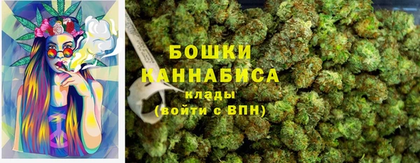 трава Горно-Алтайск