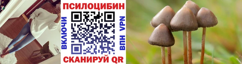 Купить закладки  Никольское  Галлюциногенные грибы мицелий 